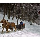 Winter im Eichsfeld