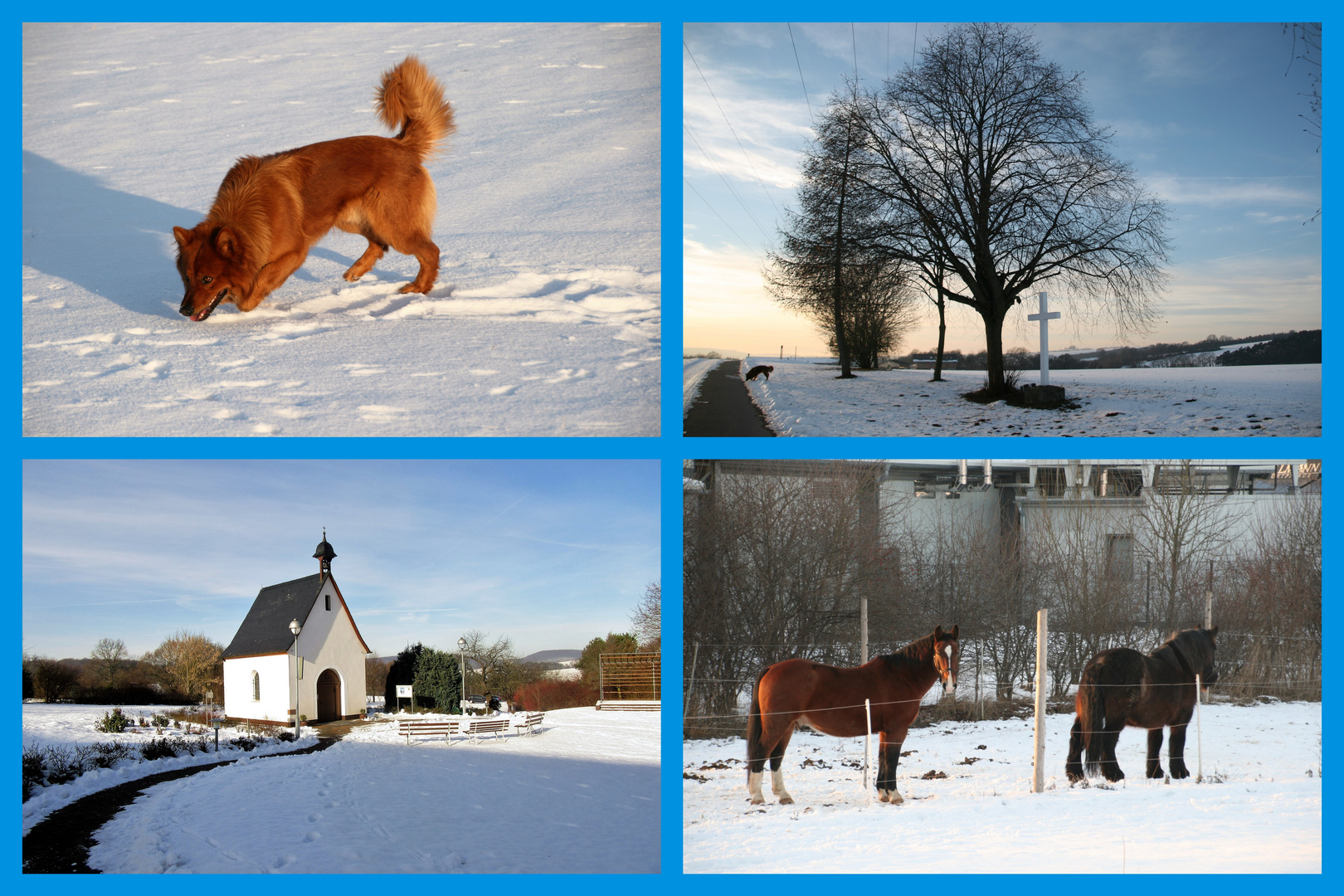 Winter im Eichsfeld