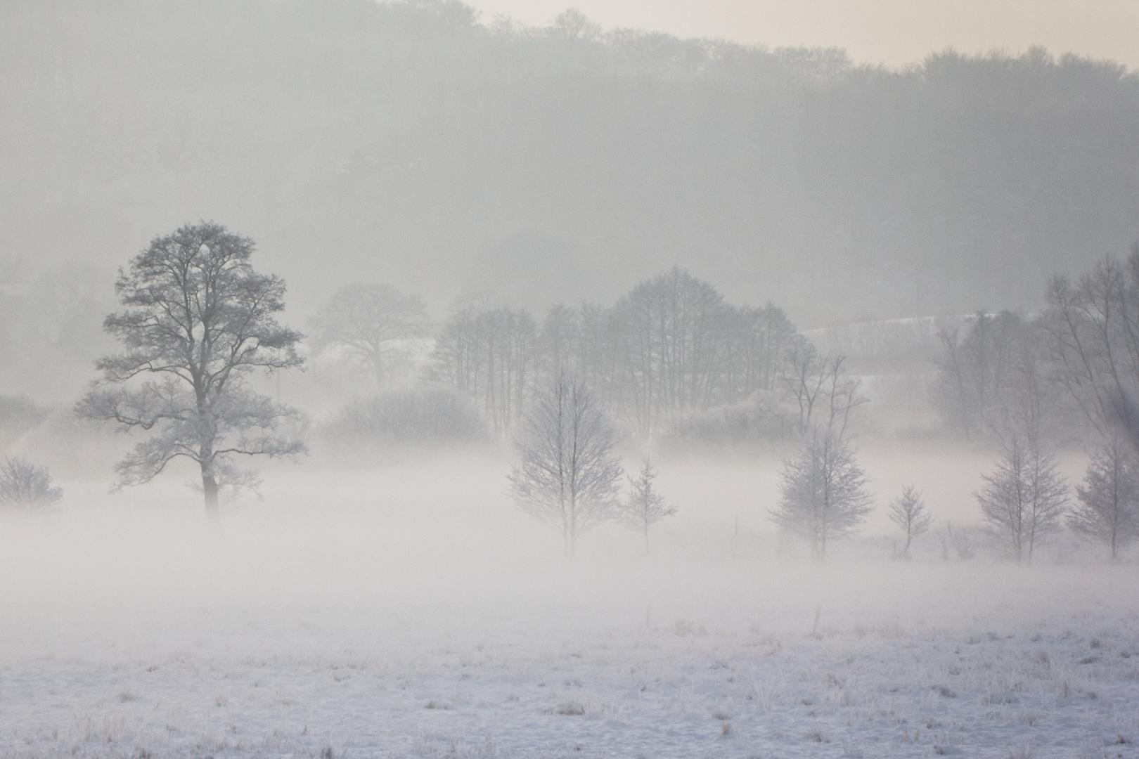 Winter im Eidertal