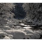 Winter im Eigental, ob Kriens (Luzern)