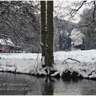 Winter im Elmsteinertal