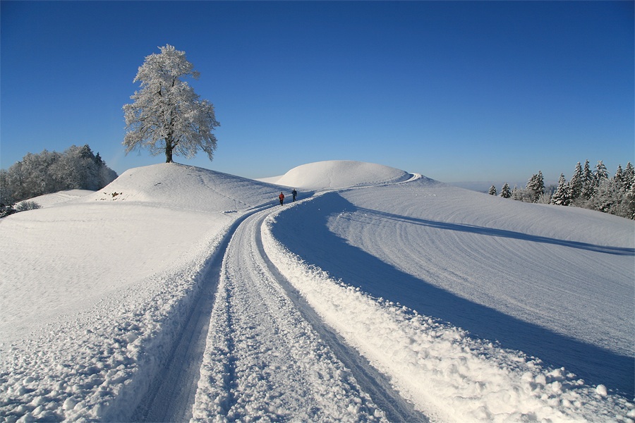 Winter im Emmental