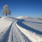 Winter im Emmental