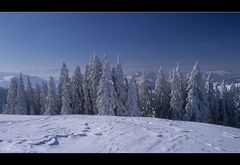 Winter im Emmental