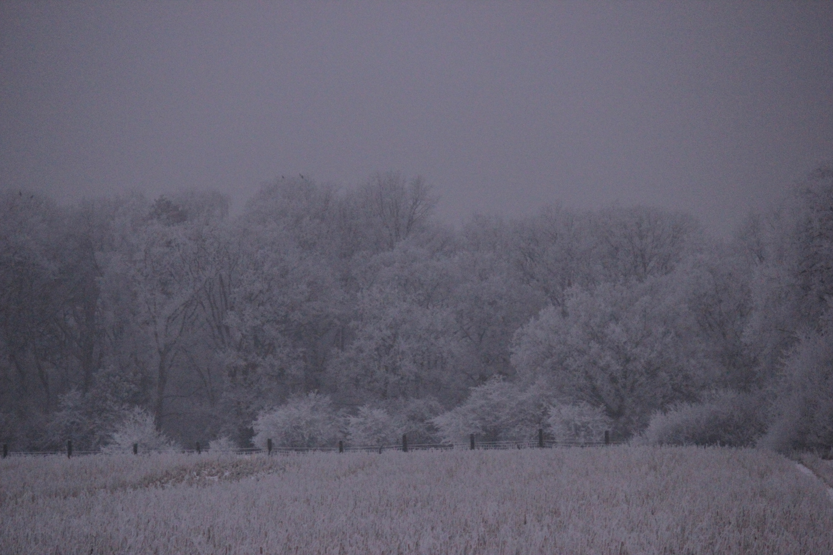 Winter im Emsland