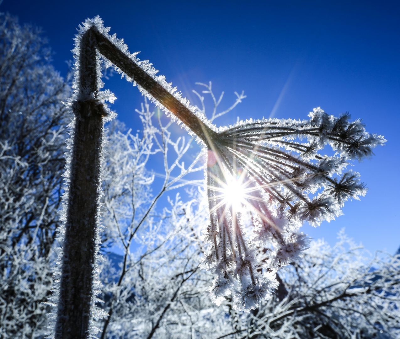 Winter im Engadin (33)