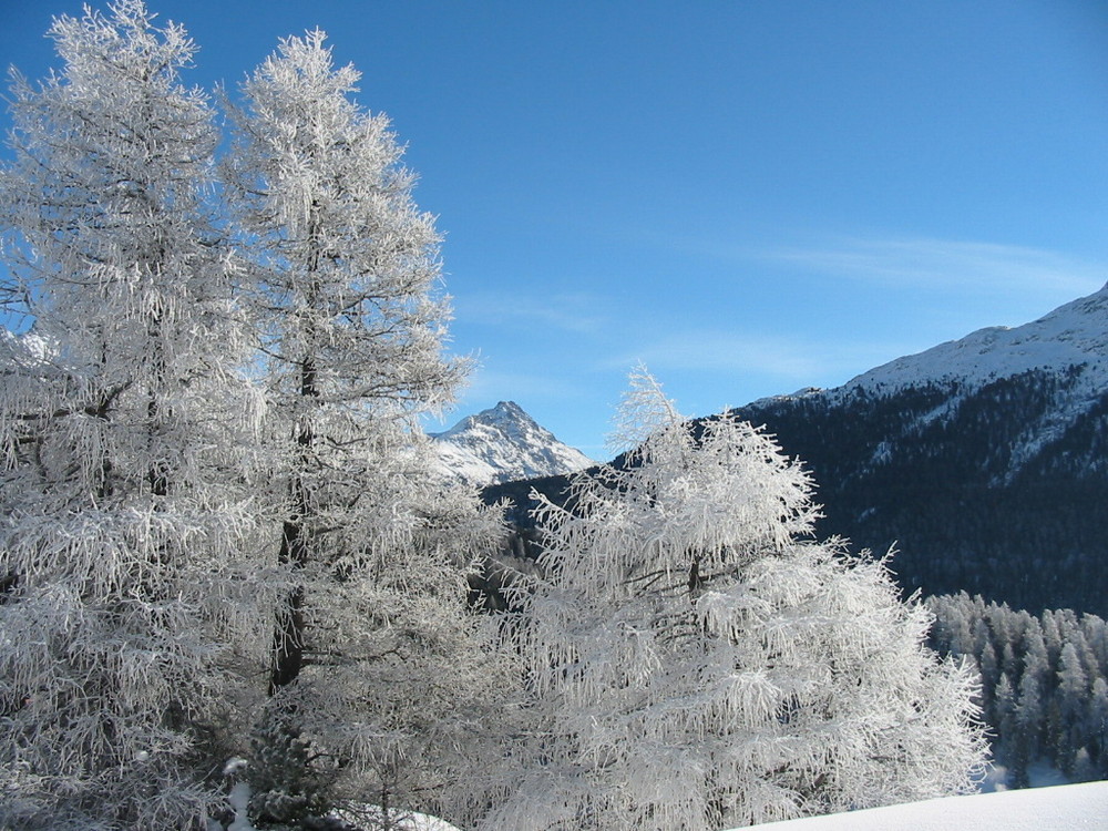 Winter im Engadin