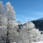 Winter im Engadin