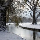 Winter im Englischen Garten