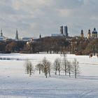 Winter im Englischen Garten