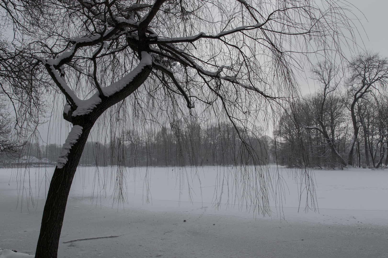 Winter im Englischen Garten