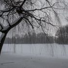 Winter im Englischen Garten