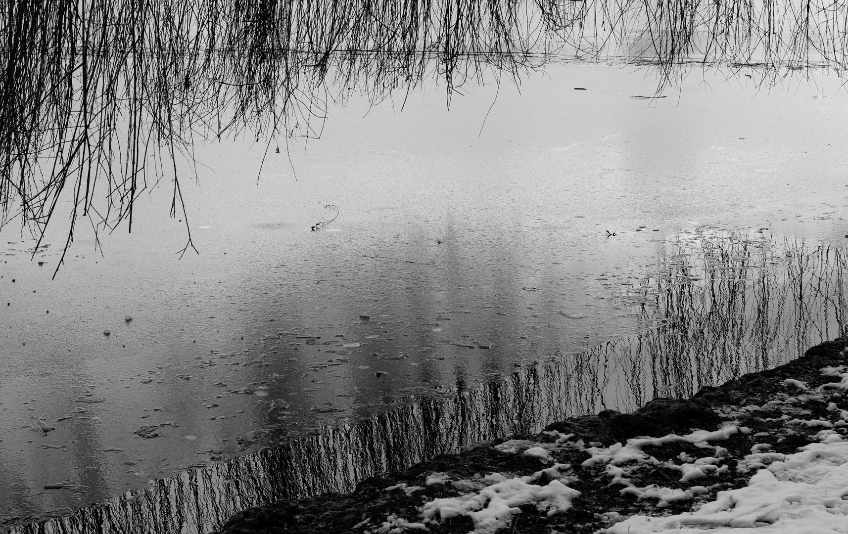 Winter im Englischen Garten München