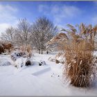 Winter im Erholungspark Marzahn (2)