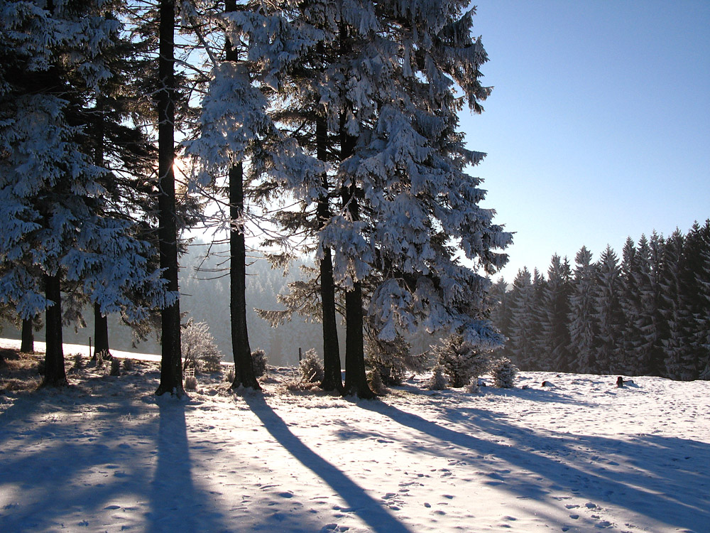 Winter im Erzgebirge