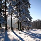 Winter im Erzgebirge