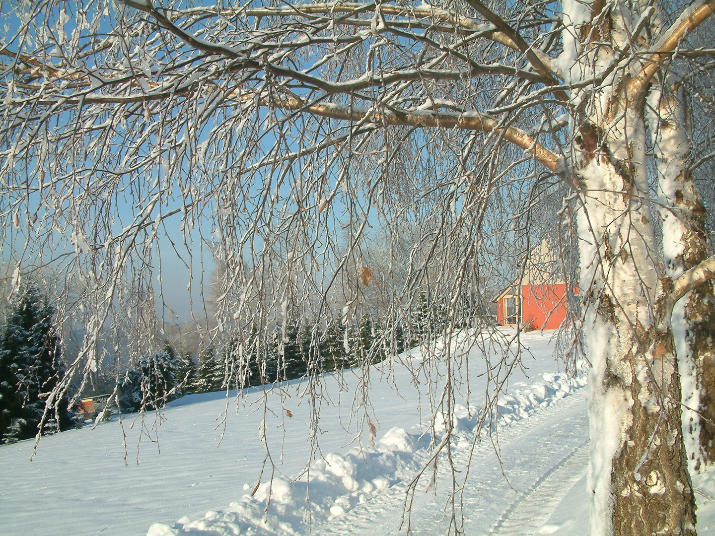 Winter im Erzgebirge