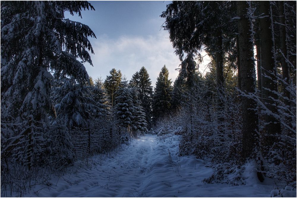 Winter im Erzgebirge