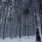 Winter im Erzgebirge (2)