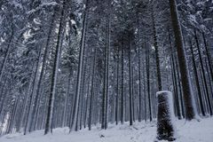 Winter im Erzgebirge (2)