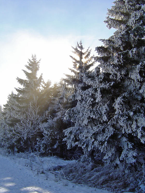 Winter im Erzgebirge 2