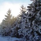 Winter im Erzgebirge 2