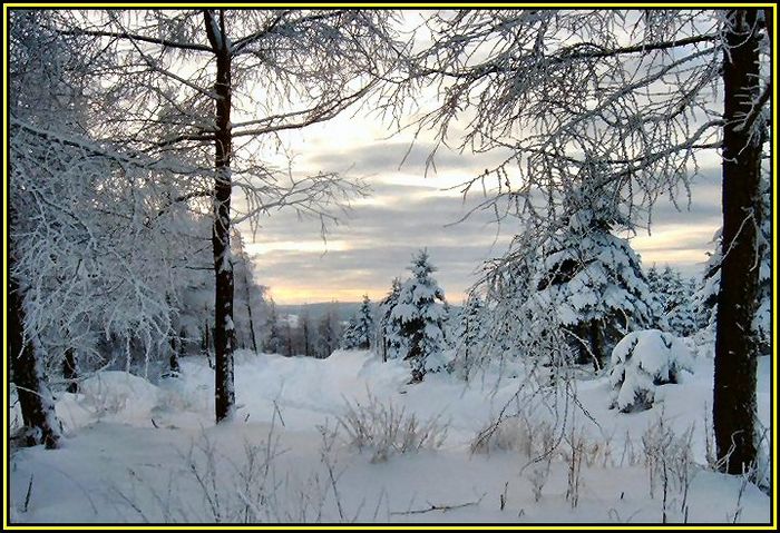 Winter im Erzgebirge 2