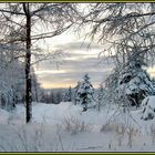 Winter im Erzgebirge 2