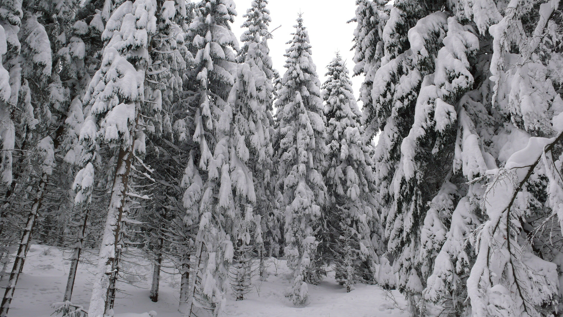 Winter im Erzgebirge 2010/2011