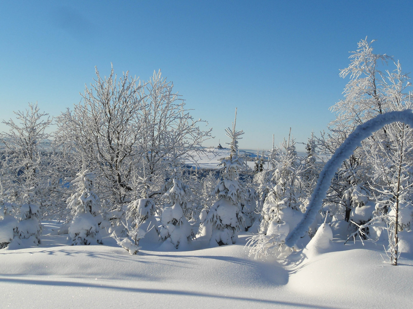 Winter im Erzgebirge 2012