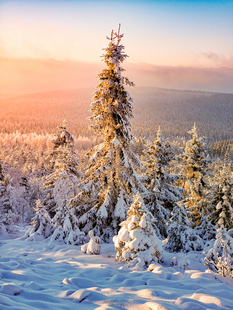 Winter im Erzgebirge 