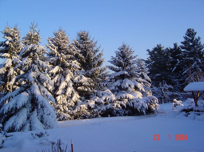 Winter im Erzgebirge