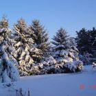 Winter im Erzgebirge