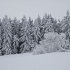 Winter im Erzgebirge