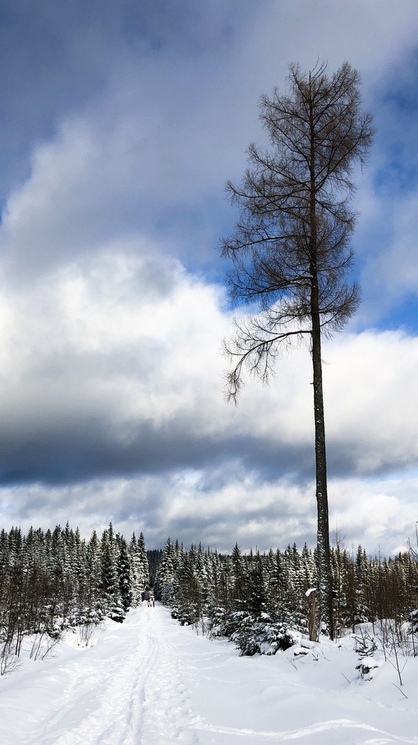 Winter im Erzgebirge 