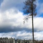 Winter im Erzgebirge 