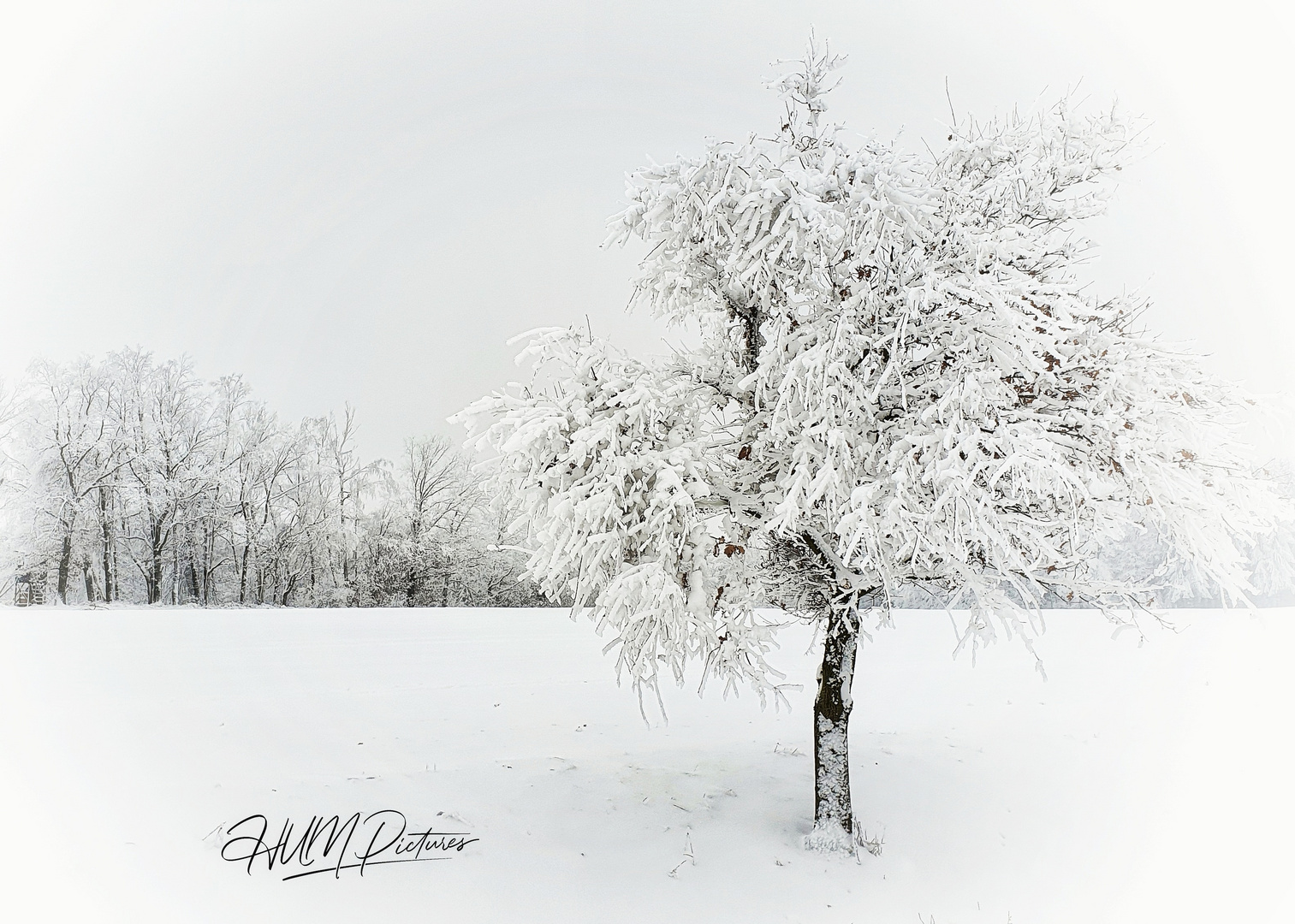 Winter im Erzgebirge