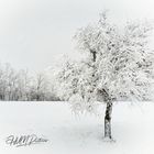 Winter im Erzgebirge