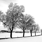 Winter im Erzgebirge...