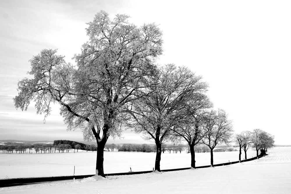 Winter im Erzgebirge...