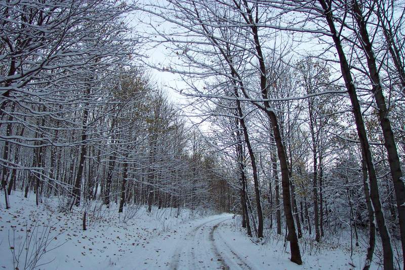 Winter im Erzgebirge