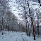 Winter im Erzgebirge