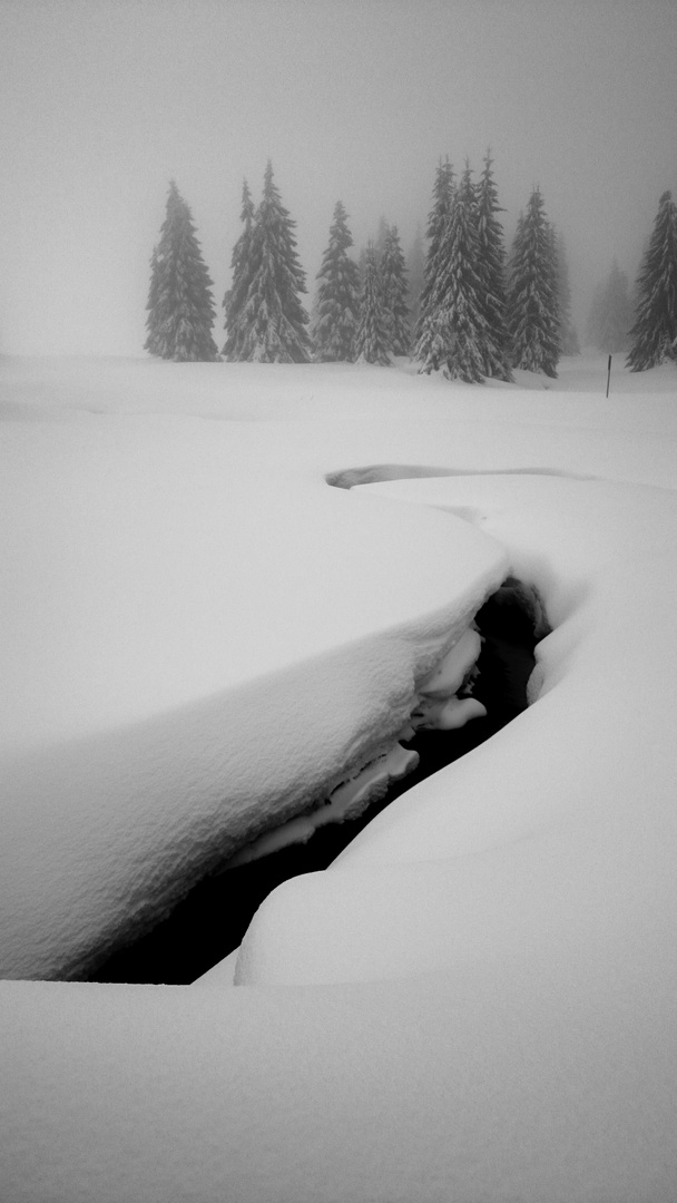 Winter im Erzgebirge