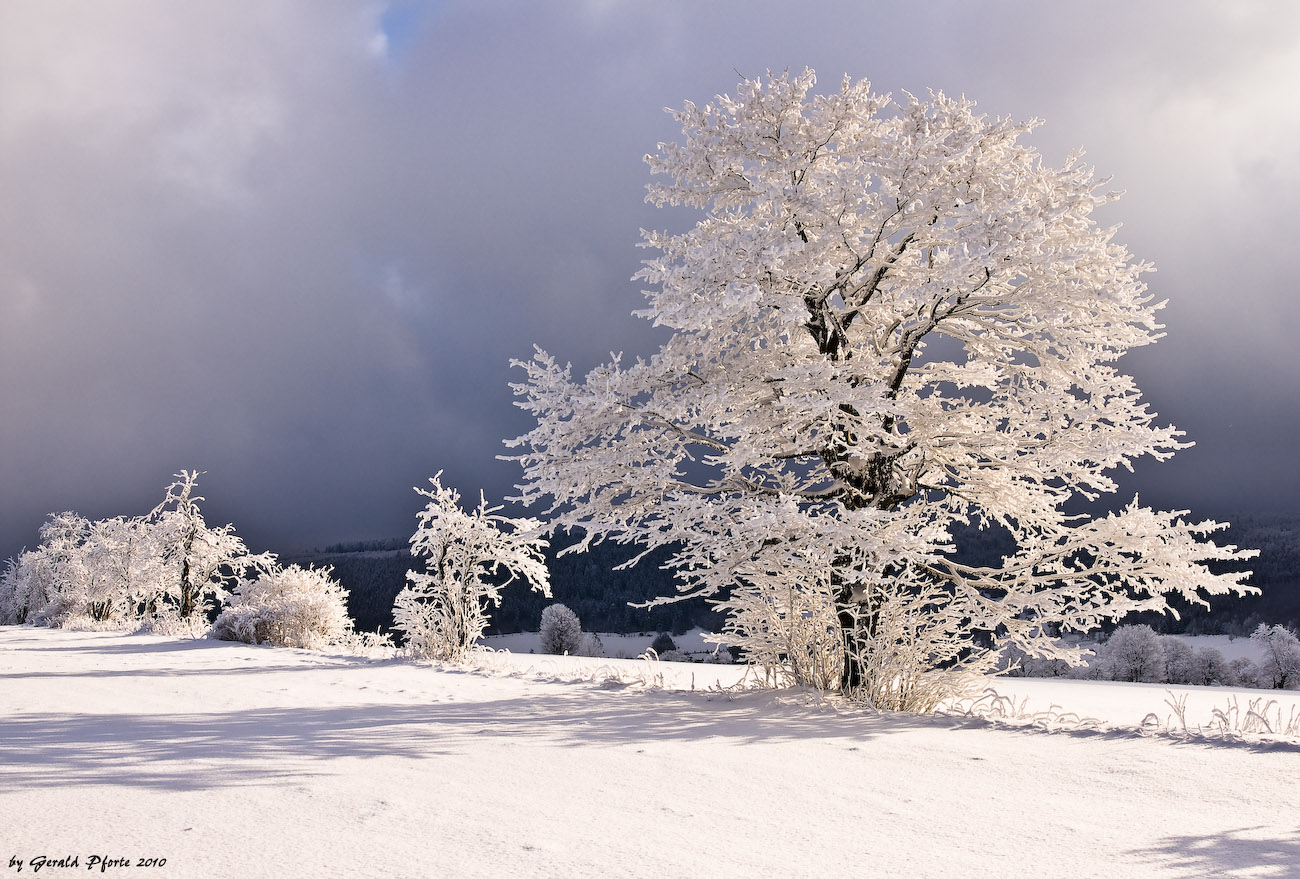 Winter im Erzgebirge