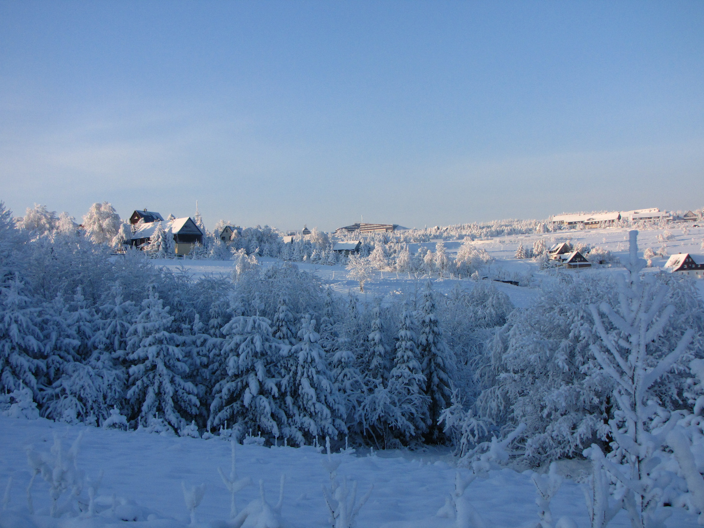 Winter im Erzgebirge ! bei Zinnwald