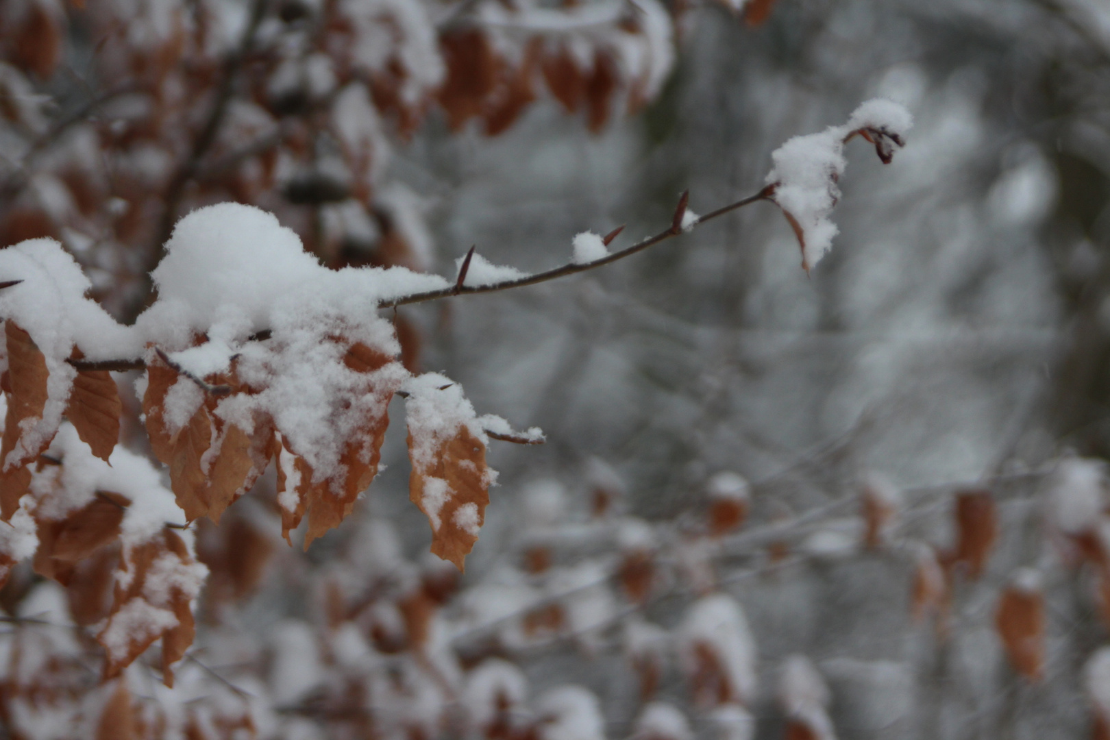 ...Winter im Erzgebirge