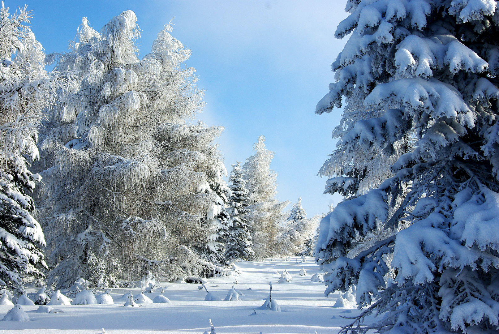 Winter im Erzgebirge