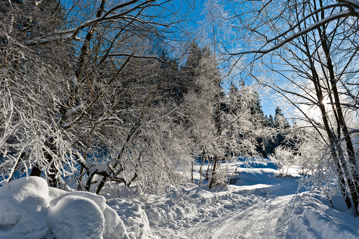 Winter im Erzgebirge