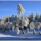 Winter im Erzgebirge