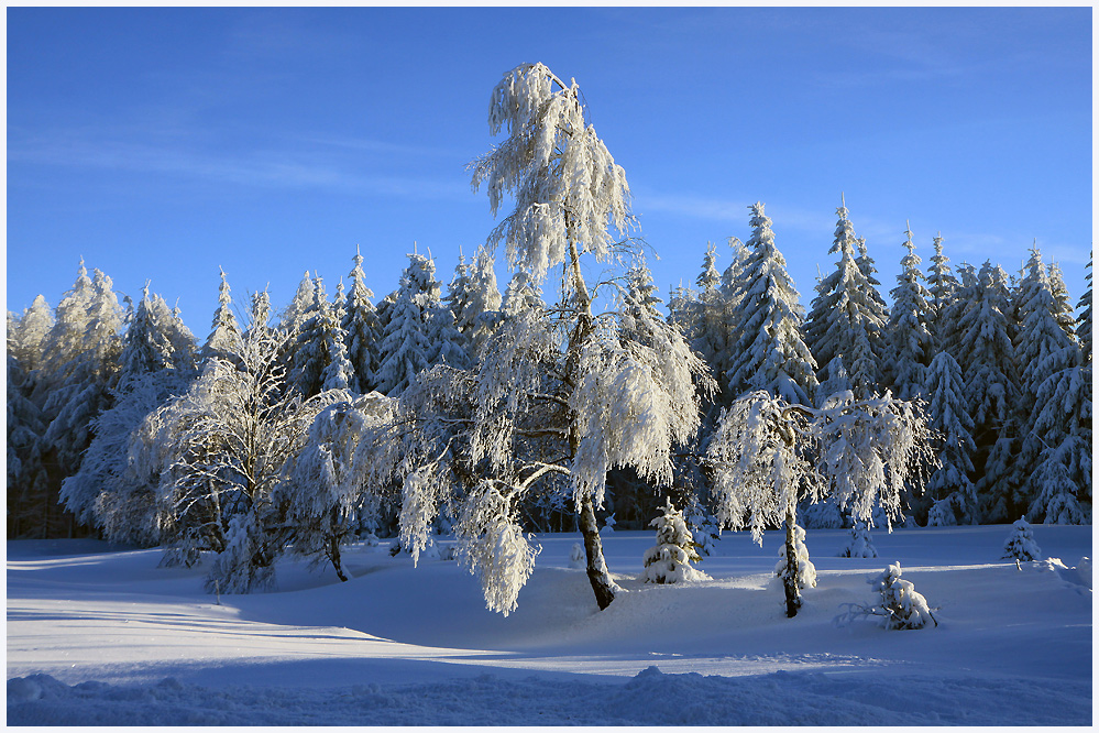 Winter im Erzgebirge